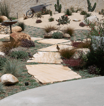 WATER WISE LANDSCAPES