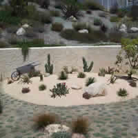 Concepts in Landscaping